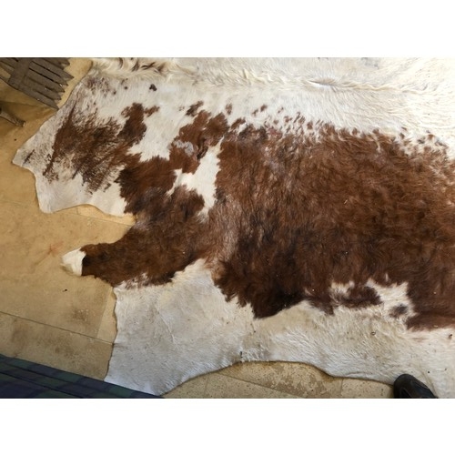 924 - Superb Longhorn Bull hide rug approx 8