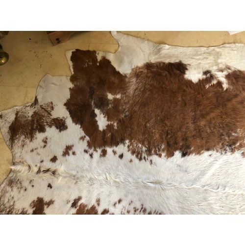 924 - Superb Longhorn Bull hide rug approx 8