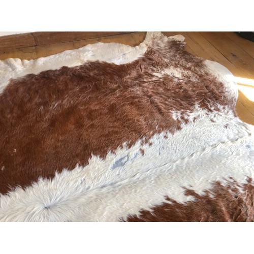 925 - Superb Longhorn Bull hide rug approx 8