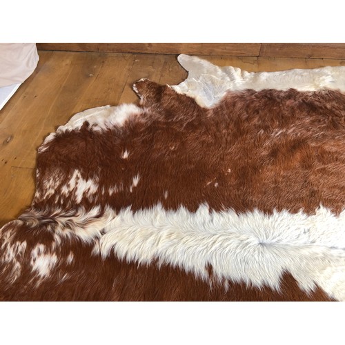 925 - Superb Longhorn Bull hide rug approx 8