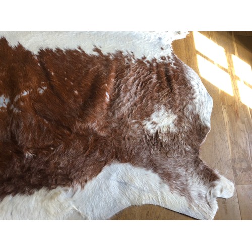 925 - Superb Longhorn Bull hide rug approx 8