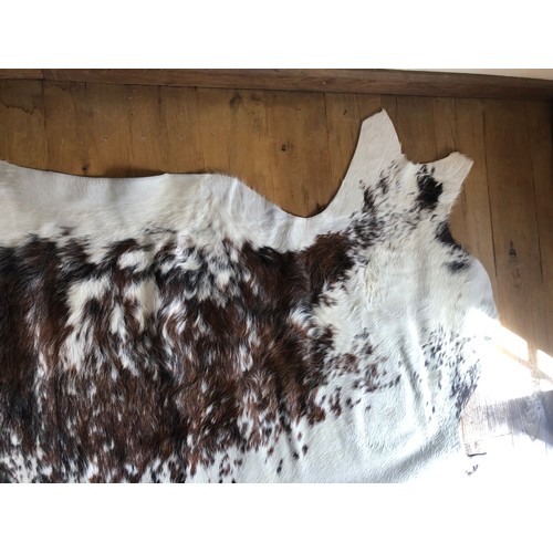 926 - Superb Longhorn Bull hide rug approx 8