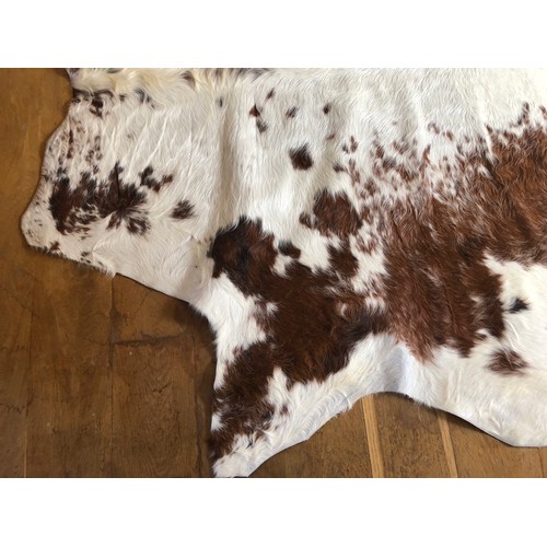 927 - Superb Longhorn Bull hide rug approx 8