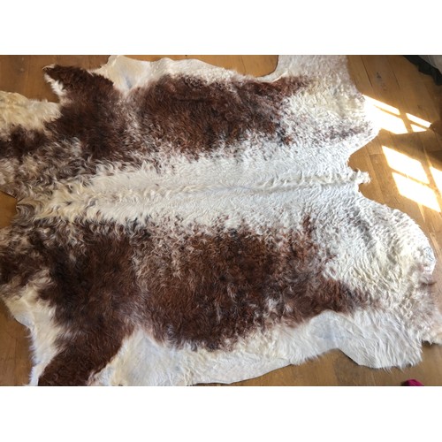 928 - Superb Longhorn Bull hide rug approx 8