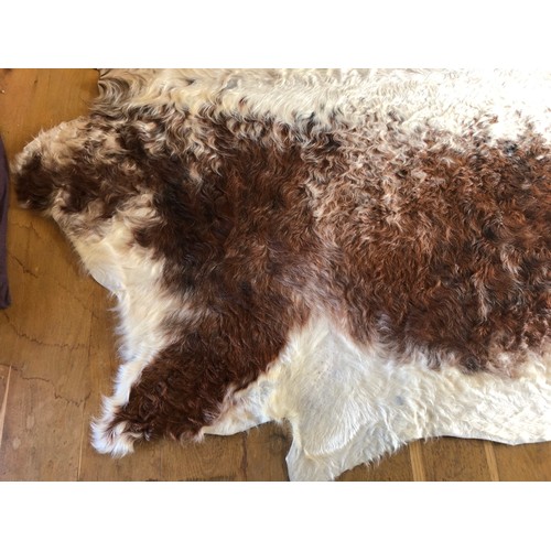 928 - Superb Longhorn Bull hide rug approx 8