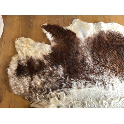 928 - Superb Longhorn Bull hide rug approx 8