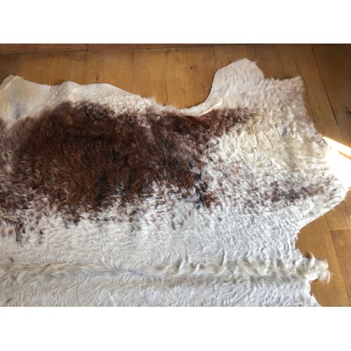 928 - Superb Longhorn Bull hide rug approx 8