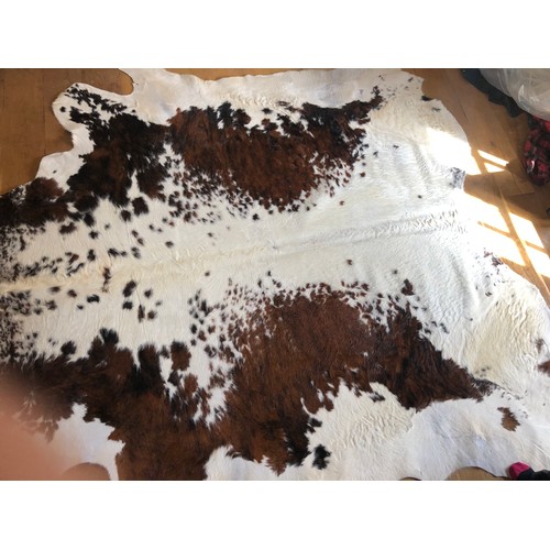 929 - Superb Longhorn Bull hide rug approx 8