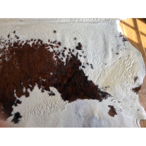 929 - Superb Longhorn Bull hide rug approx 8