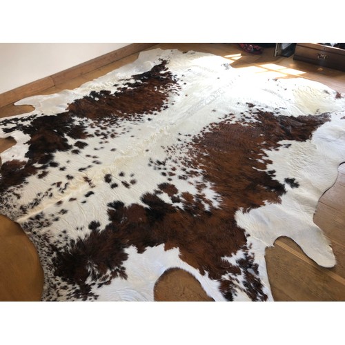 929 - Superb Longhorn Bull hide rug approx 8