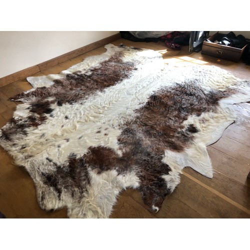 930 - Superb Longhorn Bull hide rug approx 8