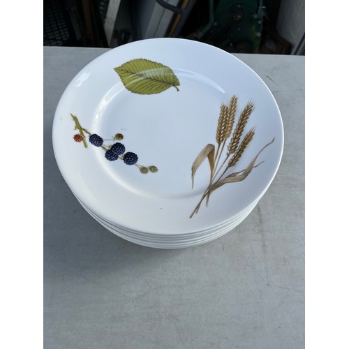 1095 - 12 Royal Worcester Wild Harvest plates