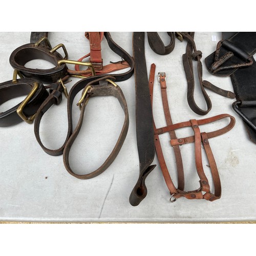 1098 - Horse leathers including cropper and driving harness parts.