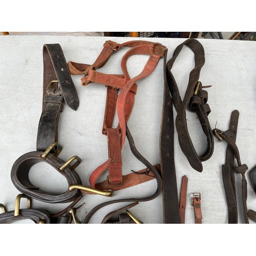 1098 - Horse leathers including cropper and driving harness parts.