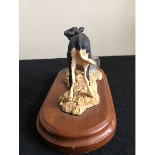 1168 - Border Fine Arts Calf signed by artist Ray Ayres