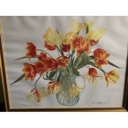 1173 - 2 Still Life Signed watercolour of Tulips and mixed Clematis by A P Silverthorne