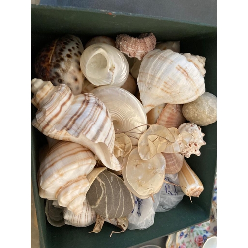 122 - Box of various shells