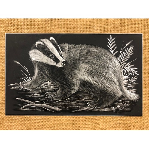 892 - engraved Badger on aluminium. F&G