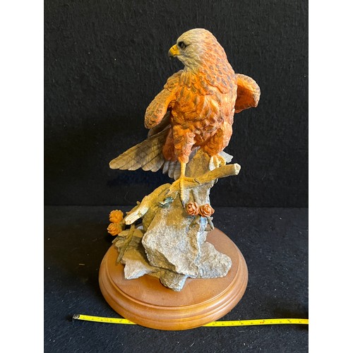 255 - Country Artists. Red Kite with Fern and Larch Cones