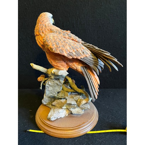 255 - Country Artists. Red Kite with Fern and Larch Cones