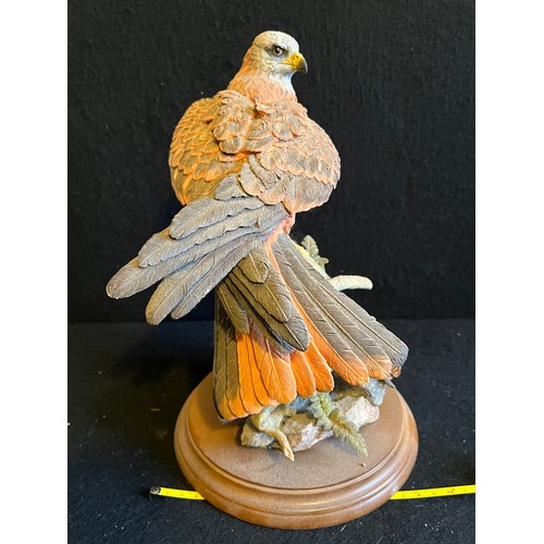 255 - Country Artists. Red Kite with Fern and Larch Cones