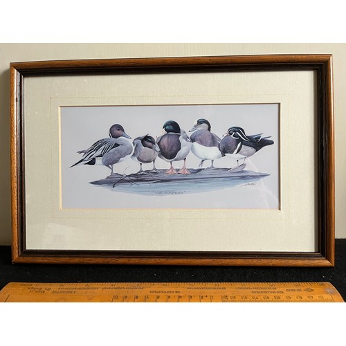 766 - Old print of wild ducks 