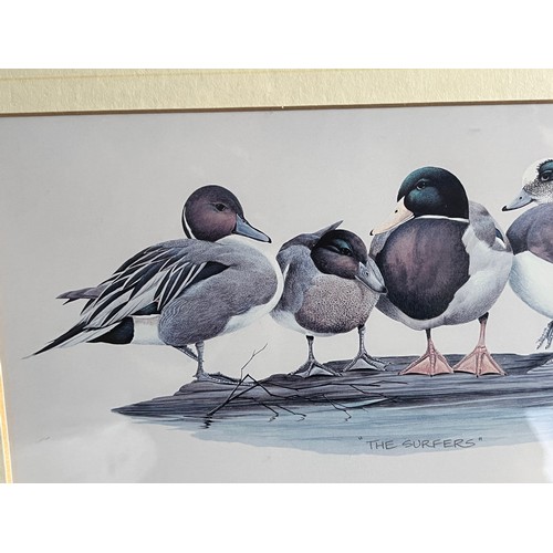 766 - Old print of wild ducks 