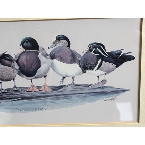 766 - Old print of wild ducks 