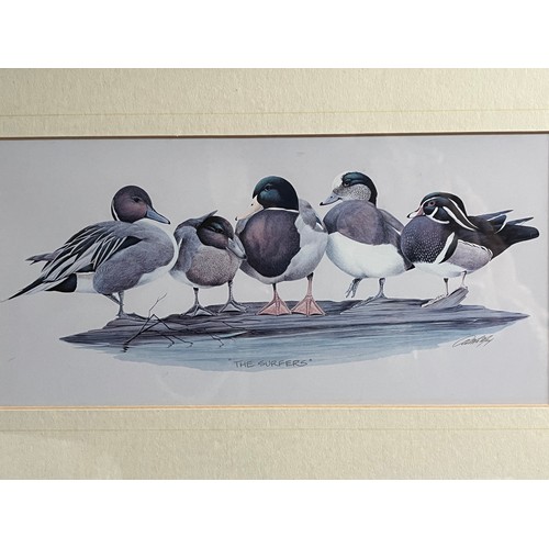 766 - Old print of wild ducks 