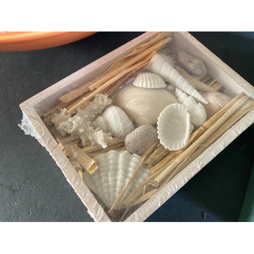 242 - Box of various shells