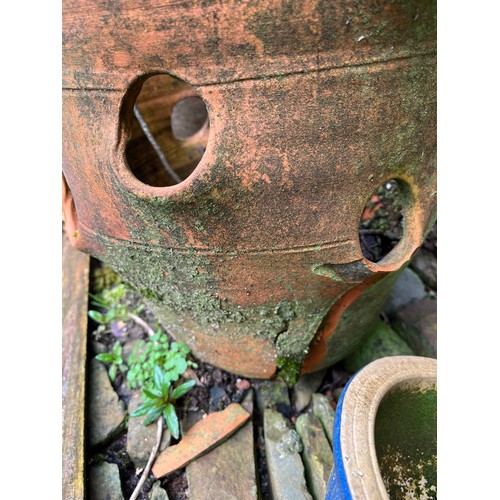 195 - Large strawberry planter, frost damage to base as pictured pieces could be glued back,