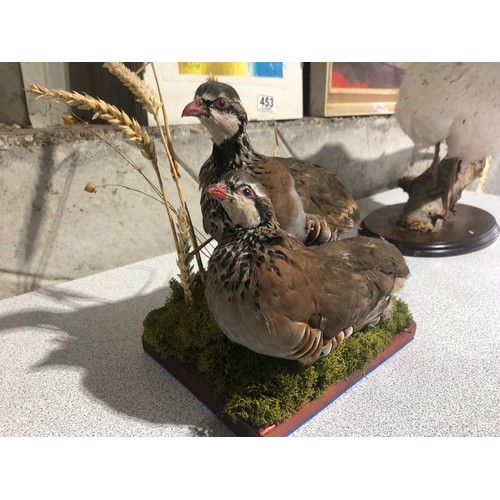 317 - Pair of Taxidermy Red Legged Partridges