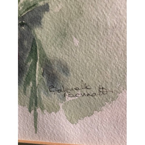 800 - Signed watercolour by Gabrielle Bennett