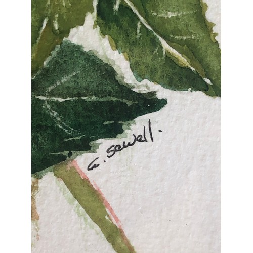 814 - Still life watercolour painting. F&G signed G.Sewell