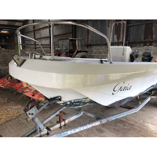 1246 - Wilson Flyer work boat. Ideal dive boat with cylinder rack, center console, Mercury 50hp 2 stroke ou... 