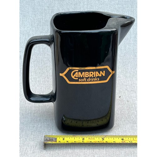 116 - Cambrian Soft Drinks jug by Wade