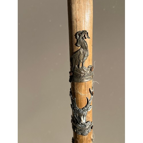 221 - Walking stick With badges.