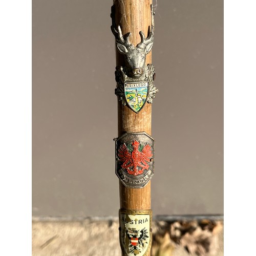 221 - Walking stick With badges.