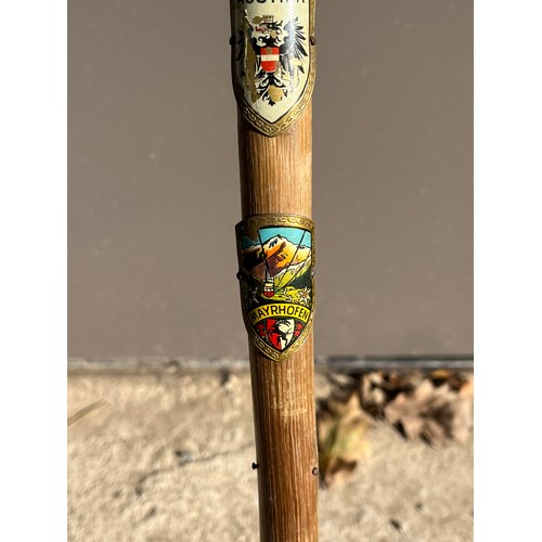 221 - Walking stick With badges.