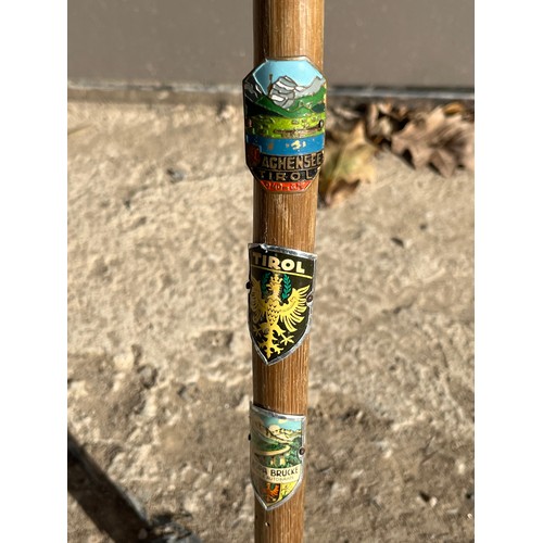 221 - Walking stick With badges.