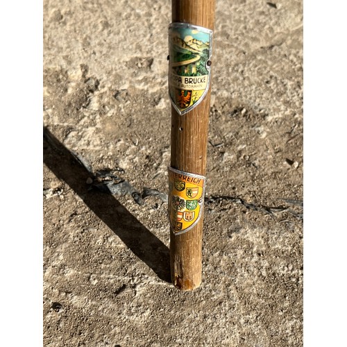 221 - Walking stick With badges.