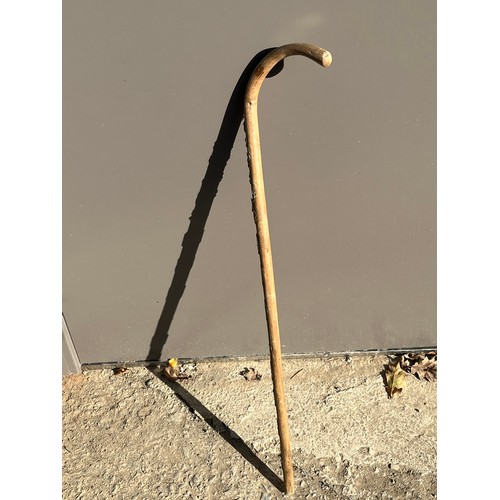 221 - Walking stick With badges.