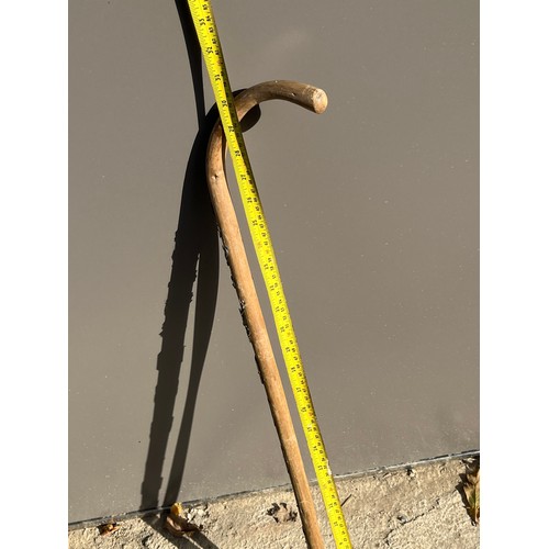 221 - Walking stick With badges.