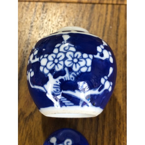 273 - Oriental Japanese cherry blossom, prunus blue and white lidded jar with blue circles under