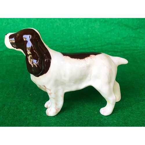 571 - Beswick Springer spaniel ceramic dog figurine