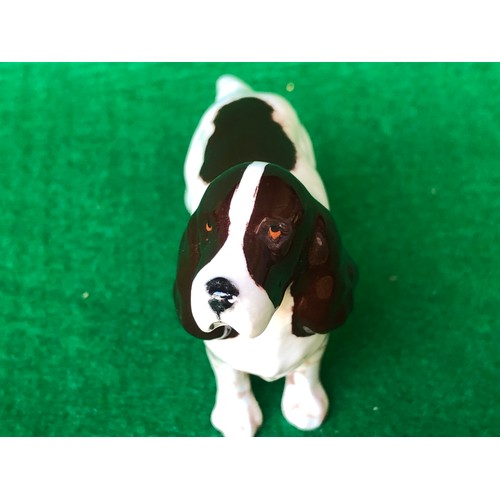 571 - Beswick Springer spaniel ceramic dog figurine