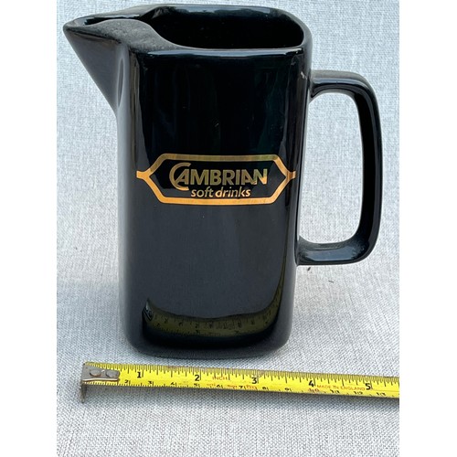 642 - Cambrian Soft Drinks jug by Wade