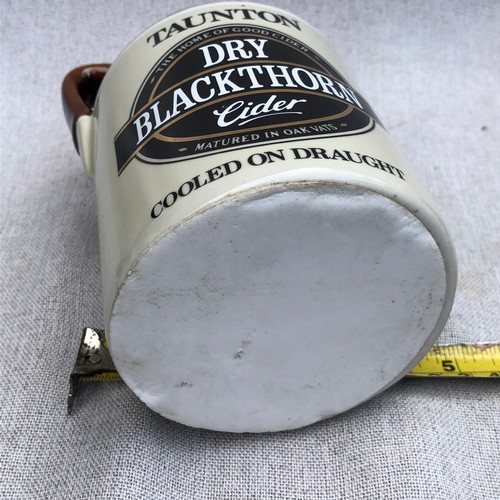 788 - Dry Blackthorn cider Flagan style soap holder ?