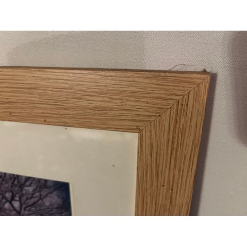 247 - Picture frame with photo of a snowy lane