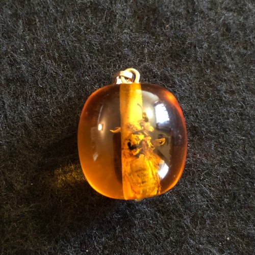 13 - a amber resin pendant with wasp trapped inside